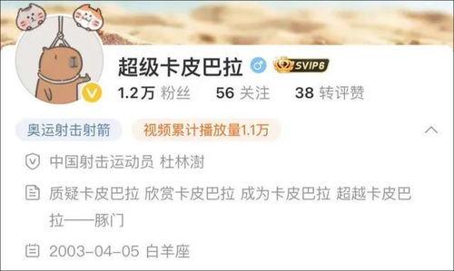 皮哥爆料视频大全下载最新,揭秘娱乐圈最新动态 第3张 皮哥爆料视频大全下载最新,揭秘娱乐圈最新动态 第3张