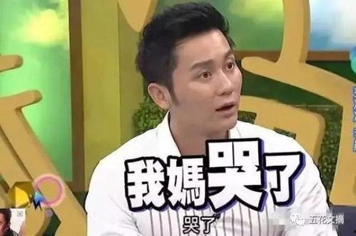 李晨早期爆料视频大全集,揭秘星途背后的真实故事