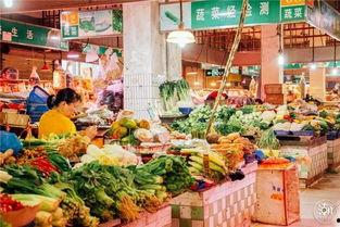 深圳菜市场爆料事件最新,食品安全问题引发公众关注 第3张 深圳菜市场爆料事件最新,食品安全问题引发公众关注 第3张