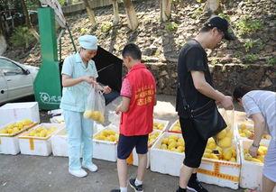 娱乐吃瓜酱贫困户,揭秘贫困户背后的真实故事 第2张 娱乐吃瓜酱贫困户,揭秘贫困户背后的真实故事 第2张